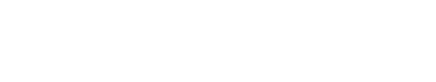 Active Fox