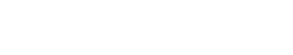 Active Fox